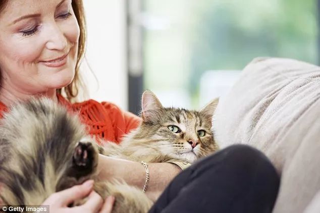 研究表明:养宠物的人不仅更快乐更健康 还赚得更多