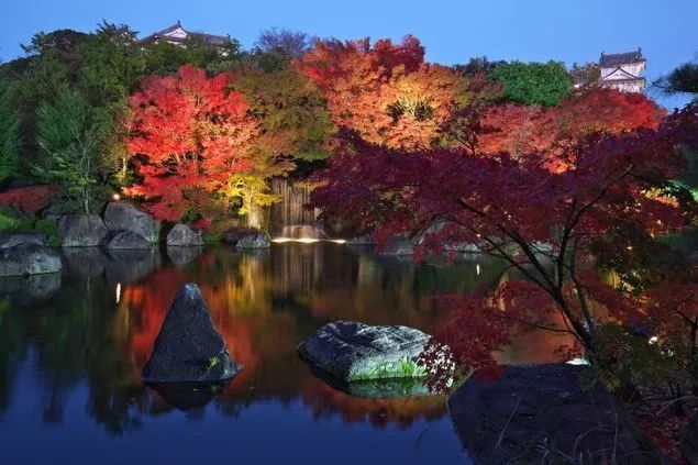 今年日本赏红叶就去这10个地方 关西篇 手机新浪网