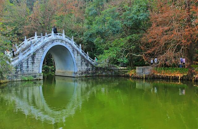 佛山仙湖度假区有哪些必玩景点 深圳仙湖植物园有哪些亲子游好去处