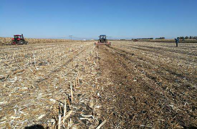 秸秆还田农民不积极,说有"危害",老农提了个建议,让专家惭愧