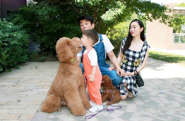 5种便宜好养的小型犬,深得人们喜爱,赵丽颖的比熊上榜|狗狗|小型犬