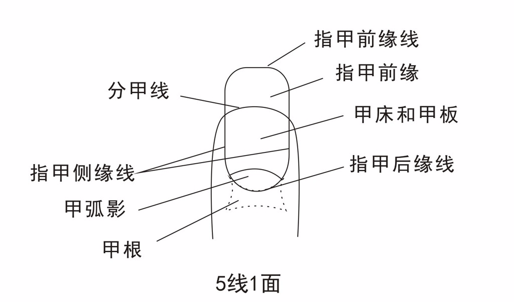 白满堂 白醋,消灭指甲真菌!