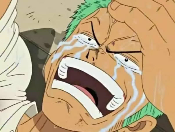 海贼王路飞终于对索隆出手了索隆欲哭无泪却不得不认亲爹