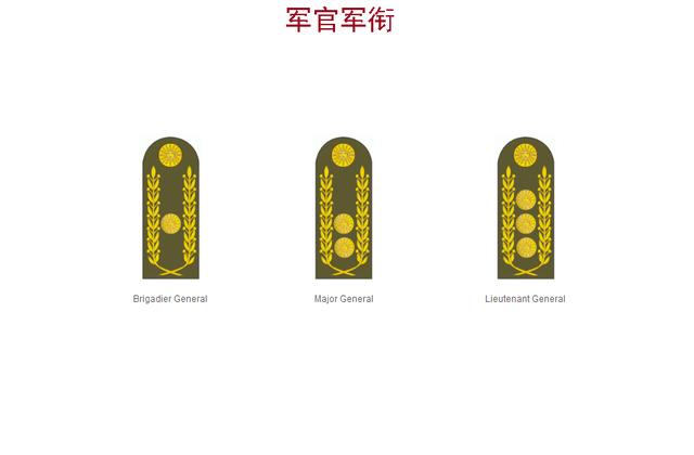 委内瑞拉存在爆发内战可能,打起来怎么分辨军衔?六张图概括一下