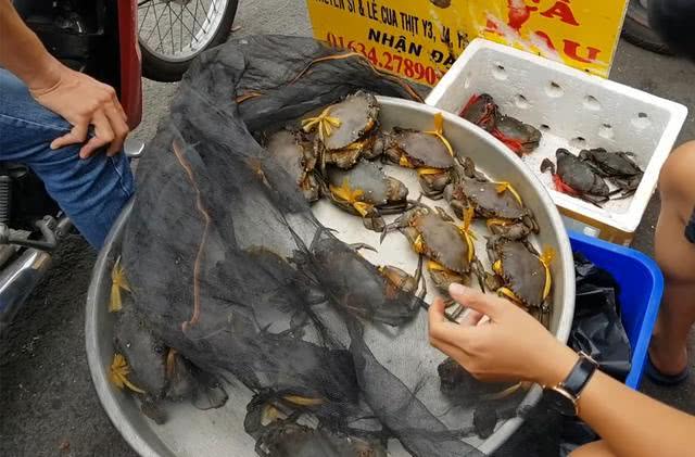 越南大哥卖螃蟹只有最后20只,问了下打包价后懵了,后悔没早来
