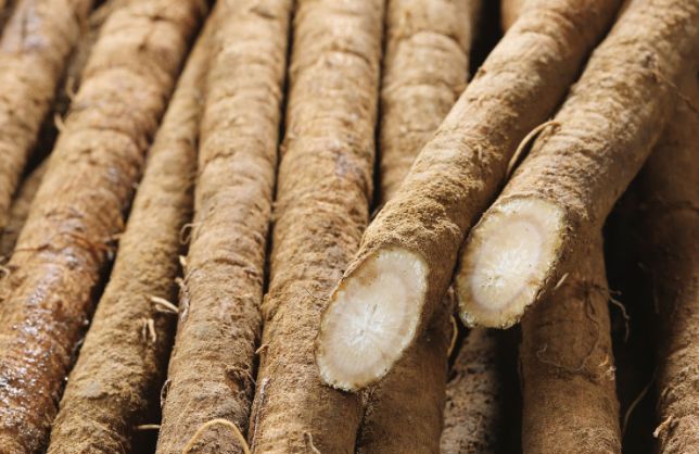 要做给孩子吃,提高免疫力少生病,贵点也值|免疫力|牛蒡|牛腩_新浪新闻