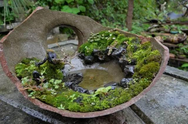 废弃摔破盆瓦罐不要扔掉做成一个有趣的盆栽