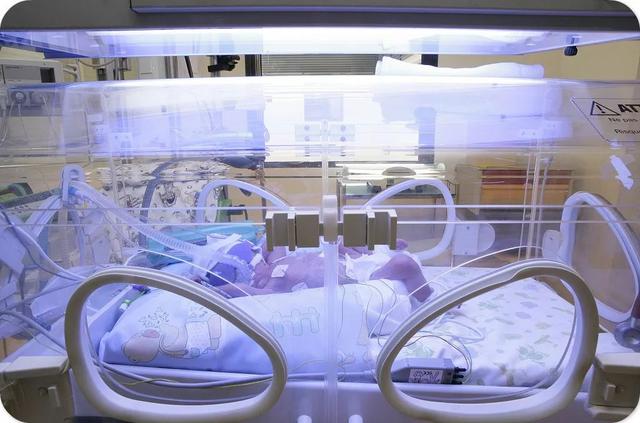 新生儿丨蓝光退黄疸会有怎样副作用?