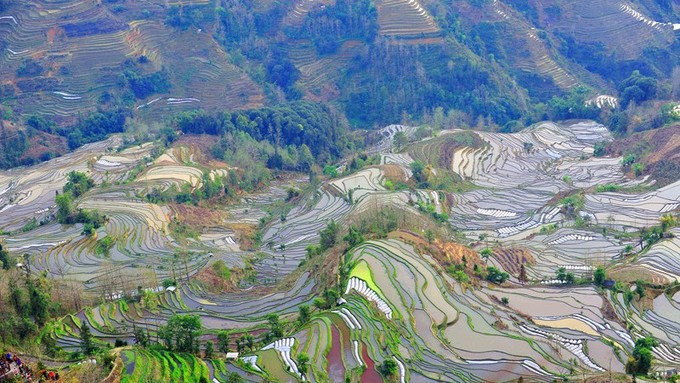 雲南著名的攝影景點之元陽哈尼族梯田攝影旅遊攻略