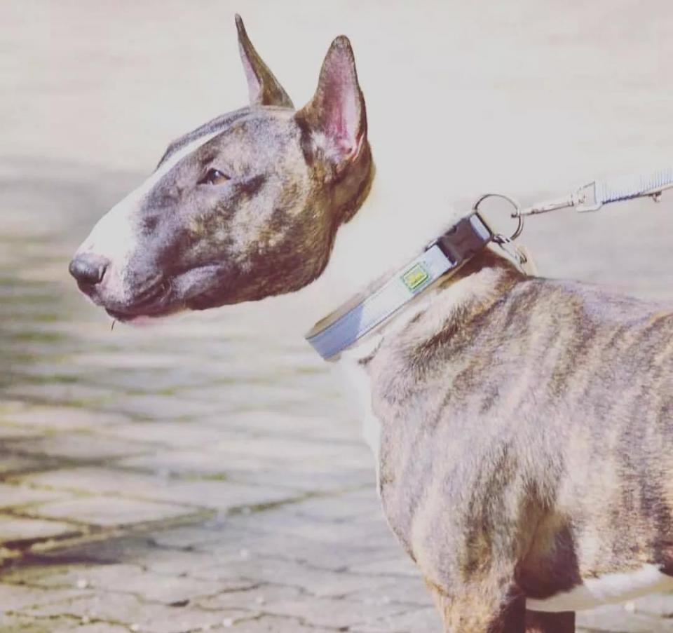 15张神奇的错位图,你第一眼绝对会看错!