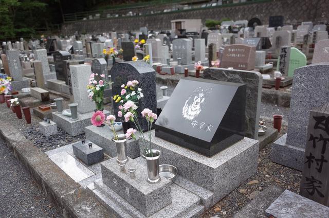 主人们来到墓地上看望以前的狗狗,忍不住流下了眼泪,好想你啊