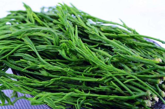 农村一种怪植物,人称臭菜,奇臭难闻,在云南却深受傣族人热捧