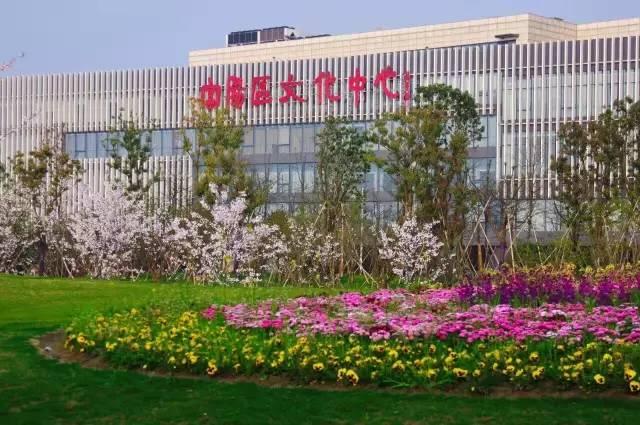 樱花跑何必去滨江,大富阳也有樱花道!假期约起……!