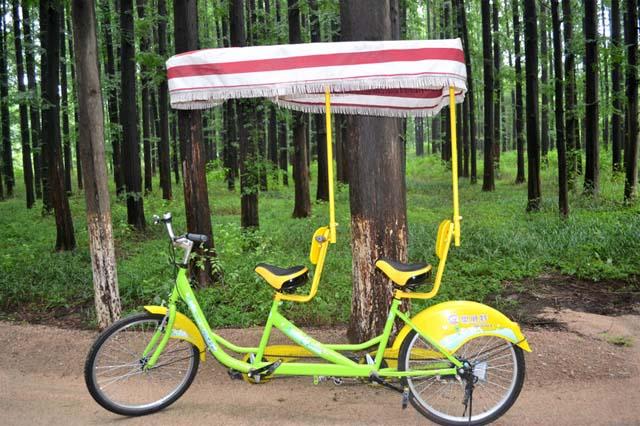 在森林公园游玩森林区时,可以选择租自行车游玩,无论是单人自行车还是