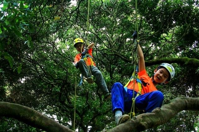 惠州这群家长太会玩了国庆带上孩子去探索大自然