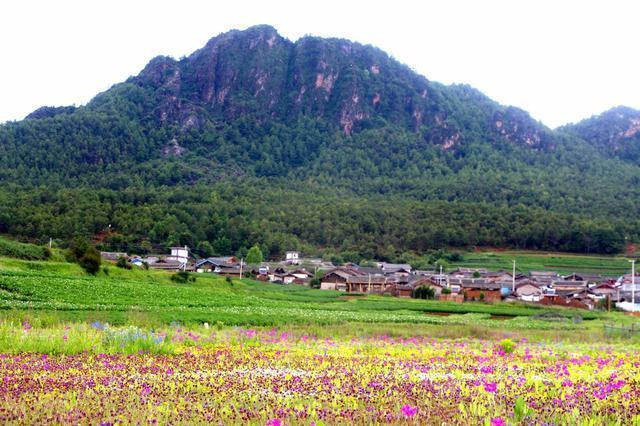 云南|南溪|古村落_新浪网