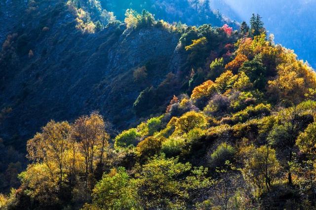 松坪溝,看湖光山色,遺落在原始森林裡的童話世界