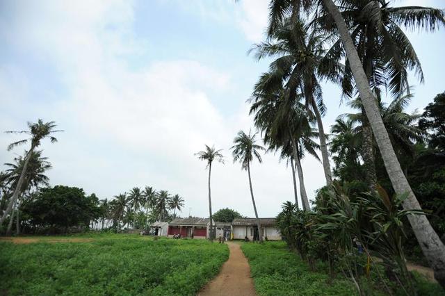 海南这些鲜为人知村落,遍地都是初秋最美颜色!
