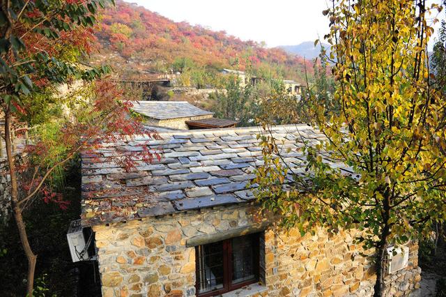 小山村用石头在半山腰建了10套院|半山腰|石屋|院子_新浪新闻