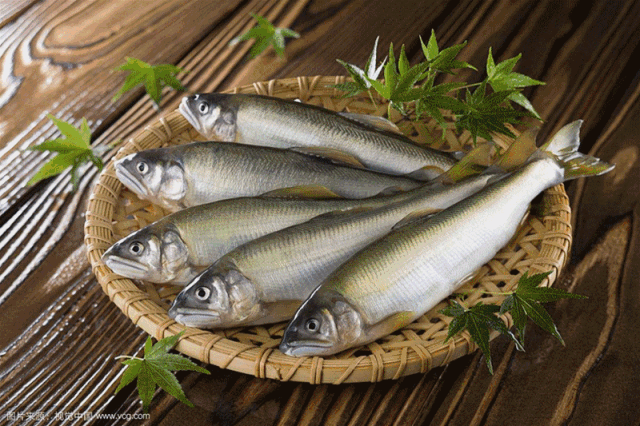 宁海海鲜鲜天下生态佳肴美名扬宁海人秋天必吃海鲜指南