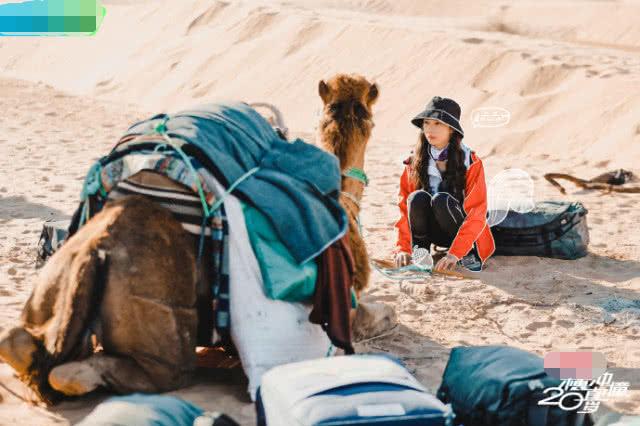 《横冲直撞20岁》开播倒计时10天,火箭少女在沙漠里都做什么
