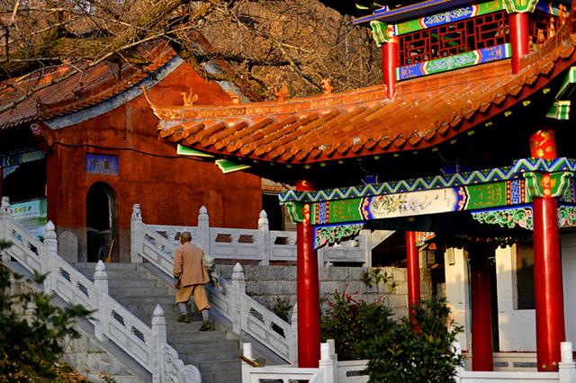 河南这深山古庙,有2880年银杏树!|寺庙|文殊寺|银杏树_新浪网