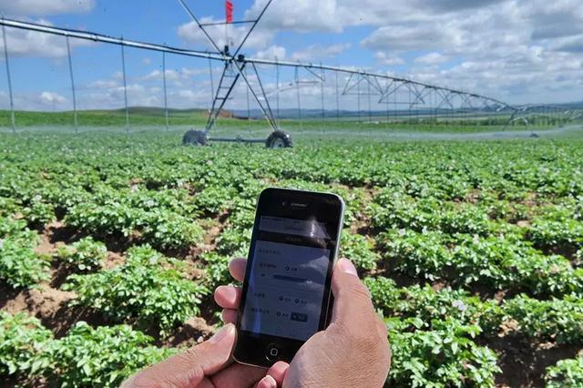 农产品信息互联网农业农产品创收的新模式