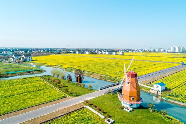 苏州澄湖国际慢城举办油菜花节暨健步走