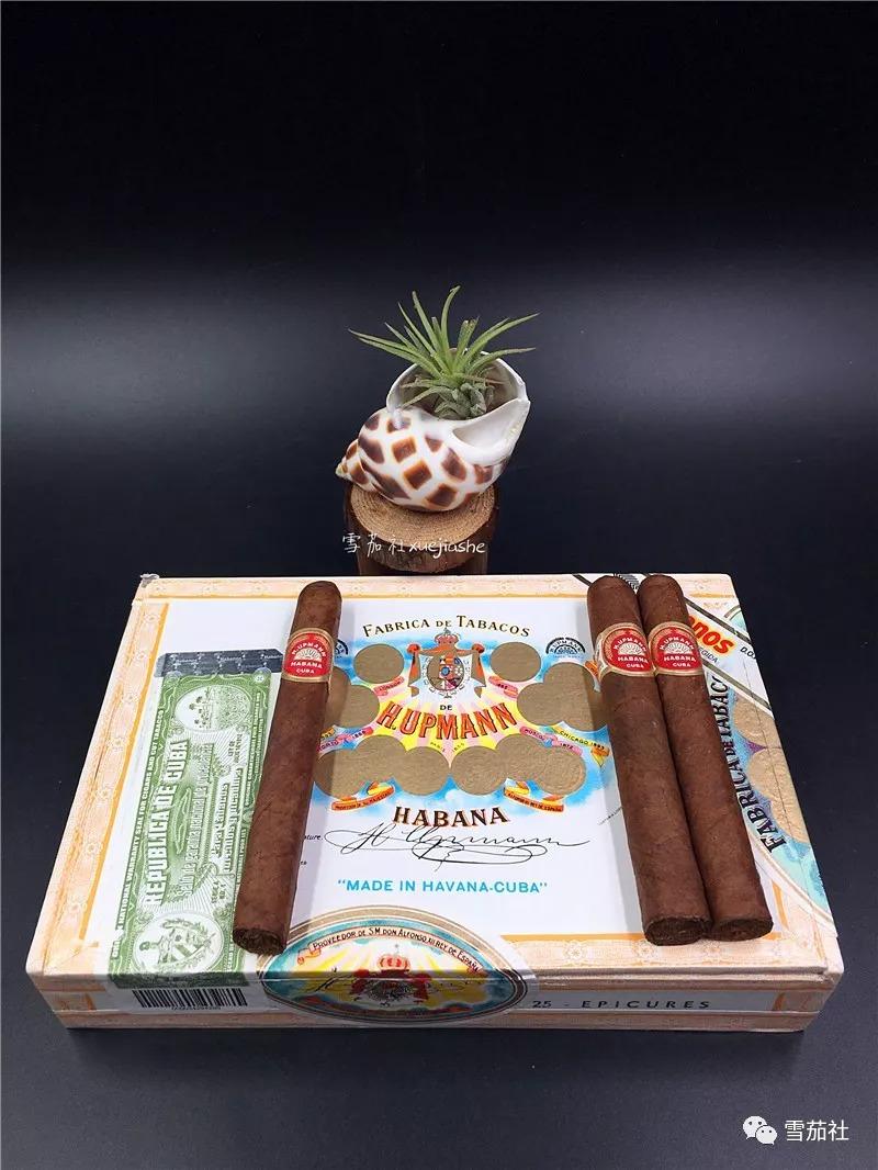 清早起来冒一根乌普曼雪茄盘点最值得尝试的五款雪茄