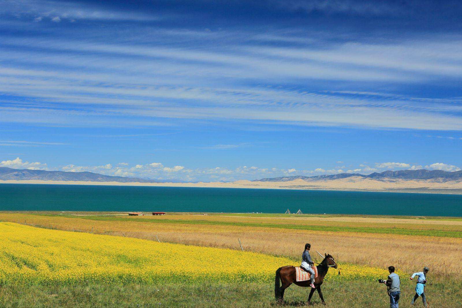在那遥远的地方,有个金银滩草原