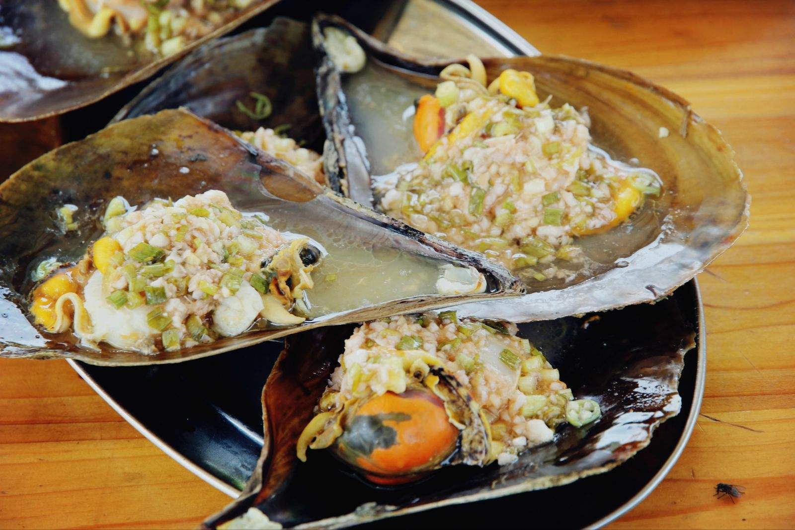 10个月不吃都饿不死,对人类有救命之恩,如今因人类走向灭亡|鲎|救命之