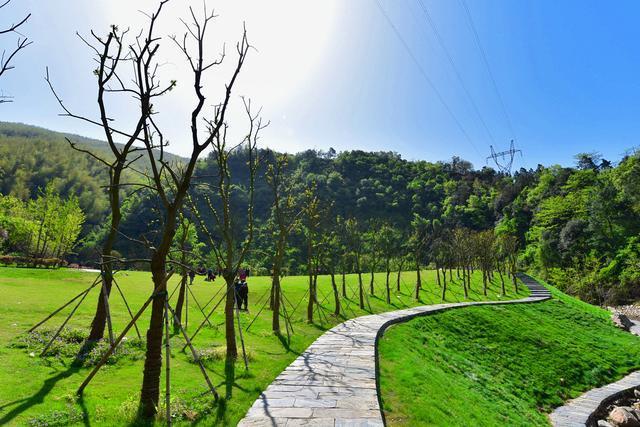 南昌最美公园,风景如画,居然不收任何门票,去过的人都说美!