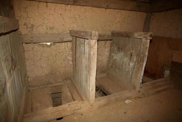 其实还有一个原因,城里孩子习以为常的厕所和农村的"茅房",长的不是一