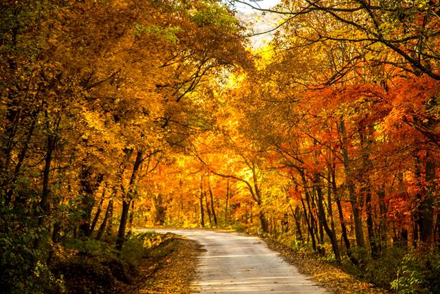 秋天,让我们席地而坐,感受大自然的风采