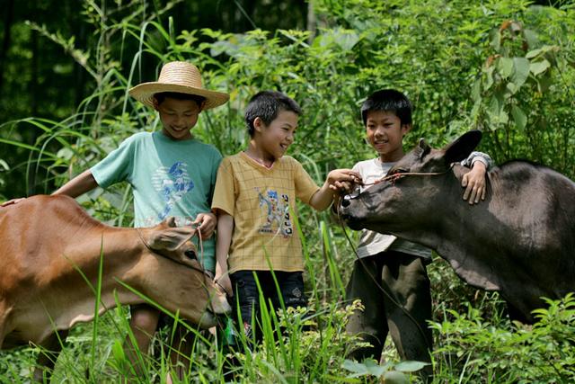 英雄王小二被日军杀死后,儿时玩伴竟为他守了58年墓,令人感动