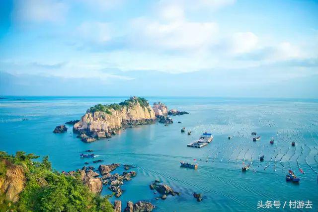 在浙江沿海唱起枸杞浪歌|浙江|枸杞島|枸杞_新浪新聞