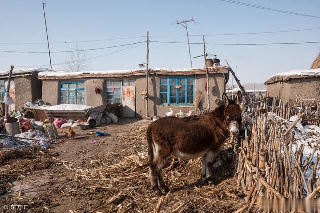 东北林区的旧民居,木板夹泥的土造法,室外极寒,屋里温暖如春