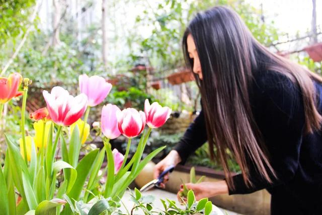 爱养花的女人,生活充满惊喜,家里处处都精致!