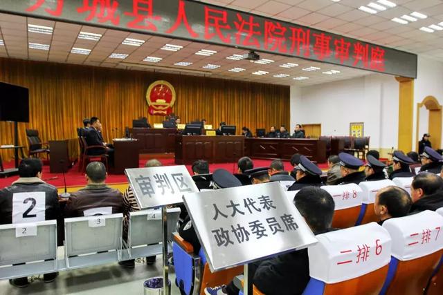 南阳方城县庞某某涉黑案一审宣判,首犯获刑25年!