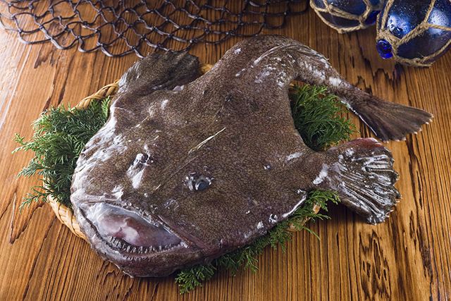 生鱼片|鱼|鱼肉_新浪新闻