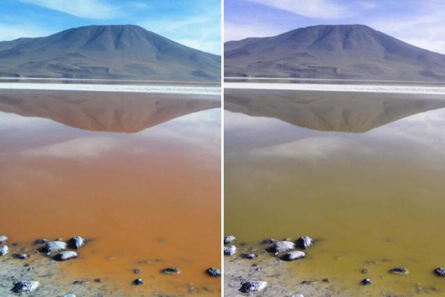 12张照片呈现色盲眼中的世界,罗浮宫的金字塔竟然是梦幻的粉红色