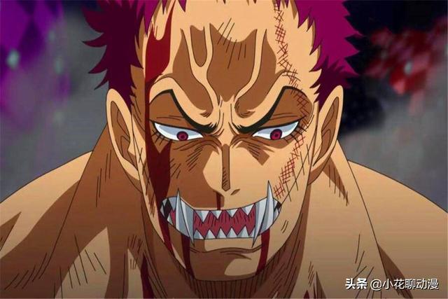 海贼王:是人是鬼都在秀,只有今井在挨揍,卡塔库栗也向今井学习