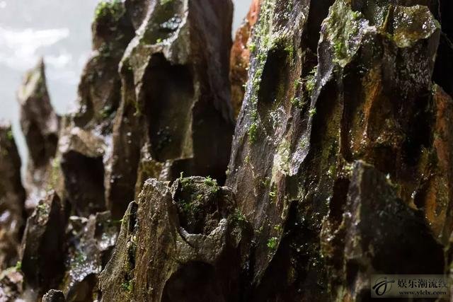 松皮石峡谷造景:松皮石高山峡谷造景缸,听说酸奶配莫斯更好看!