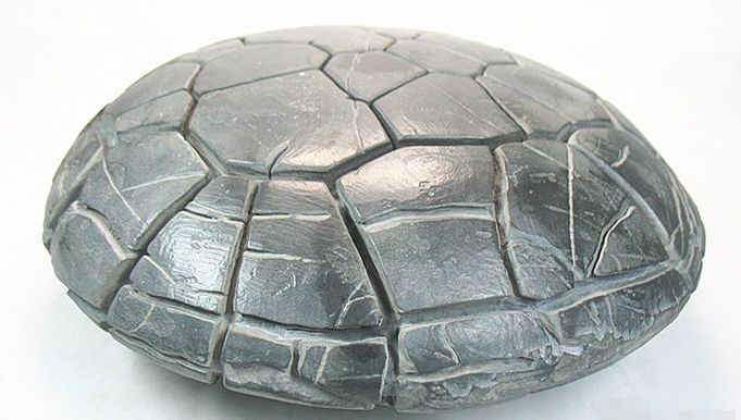 男子无意看到个"乌龟", 靠近发现是块石头