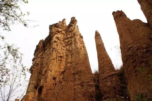 无量山|南涧|樱花谷_新浪新闻