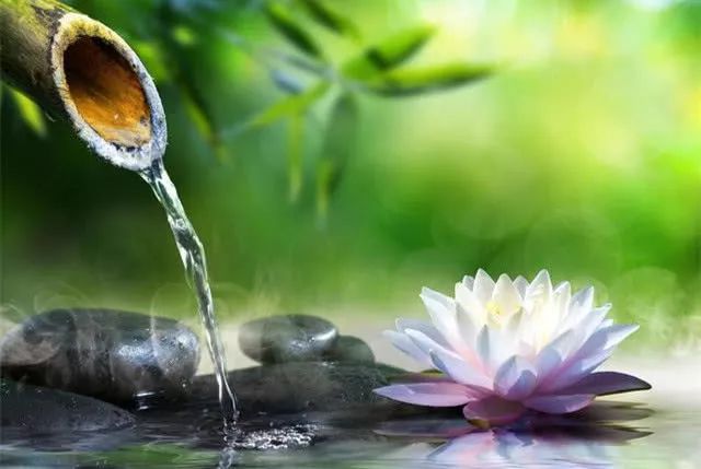 29号起,祥云天上绕,大富大贵大富翁,金银往家搬的生肖