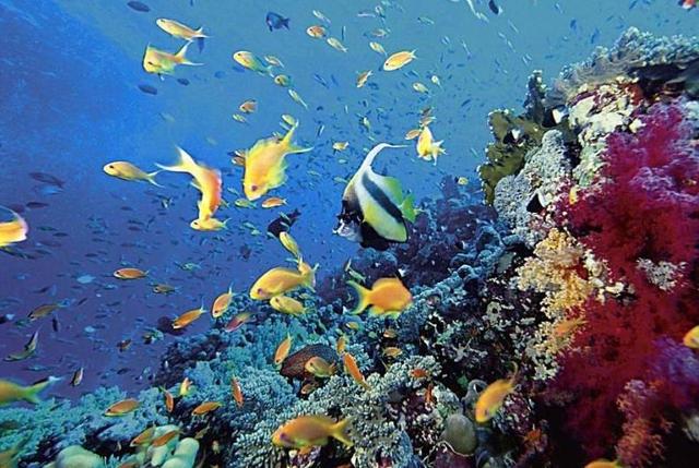 地球上最大的海洋你知道有多大吗比陆地面积还大这么多