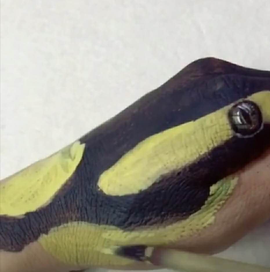 美术生在手上画彩绘一看照片吓坏众人真的不是蟒蛇吗