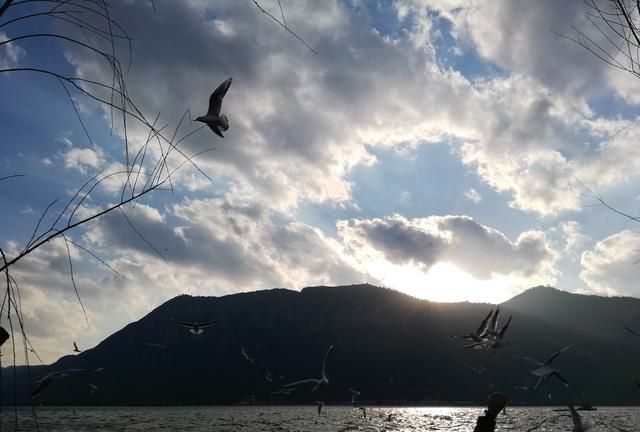 2019年高考语文:《考试大纲》有2处变化,高考