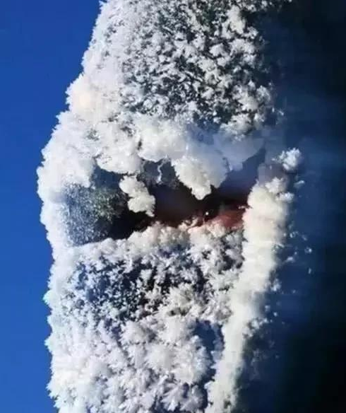 向人民子弟兵致敬!这张零下30度的照片,值得所有国人点赞!